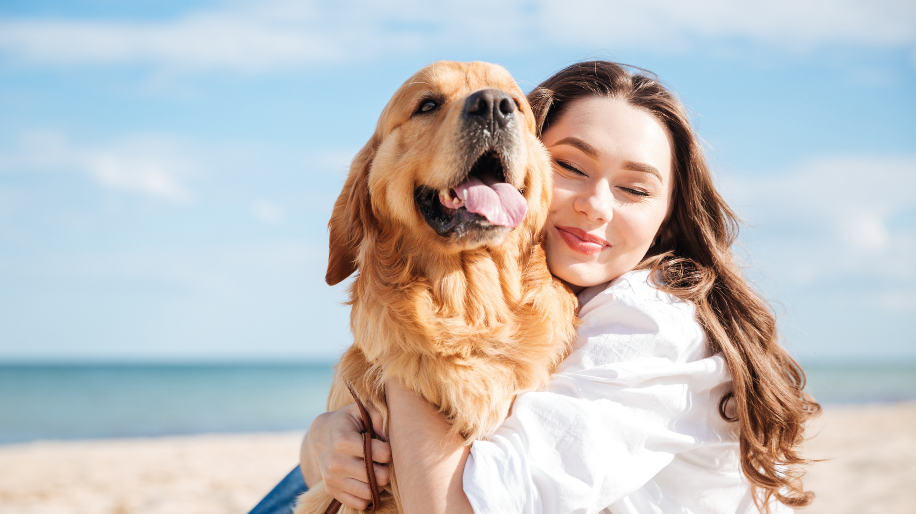 犬を愛する心: この 3 つの星座は絶対的な犬派です