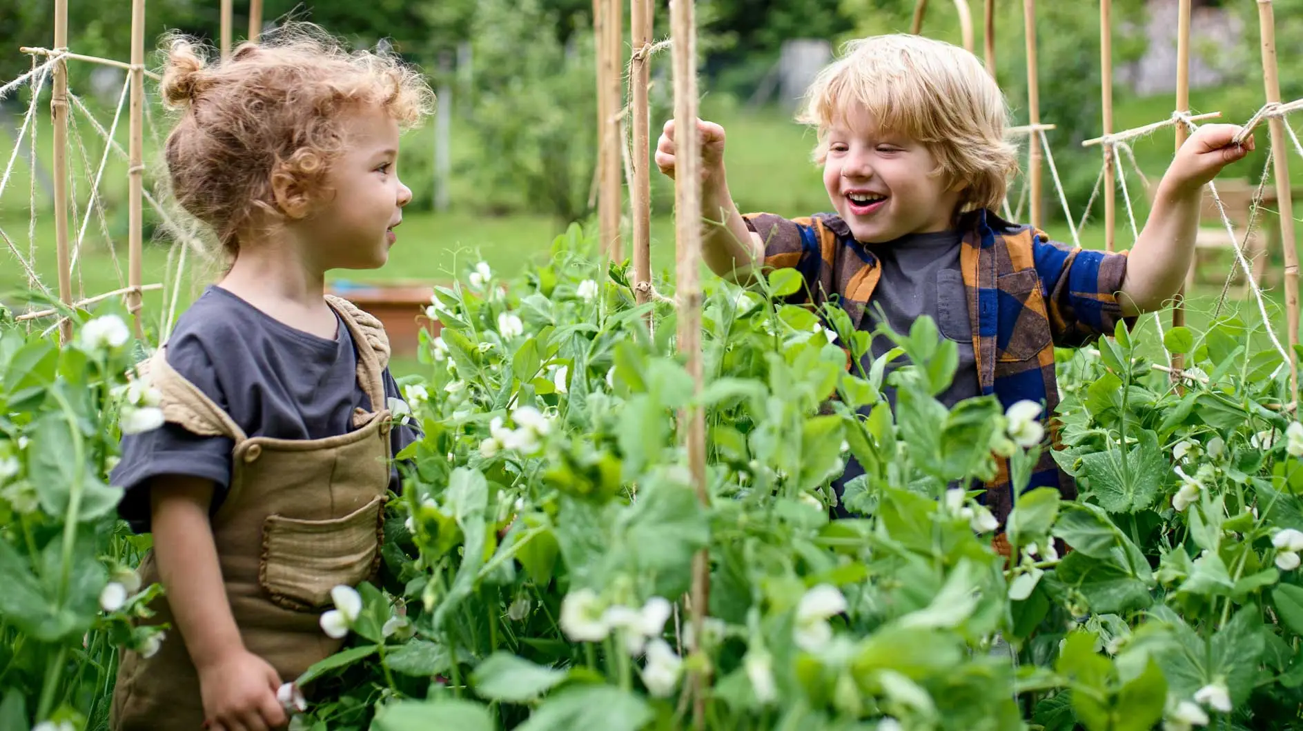 専門家からのヒント：子供が野菜を食べない場合は何に役立ちますか？