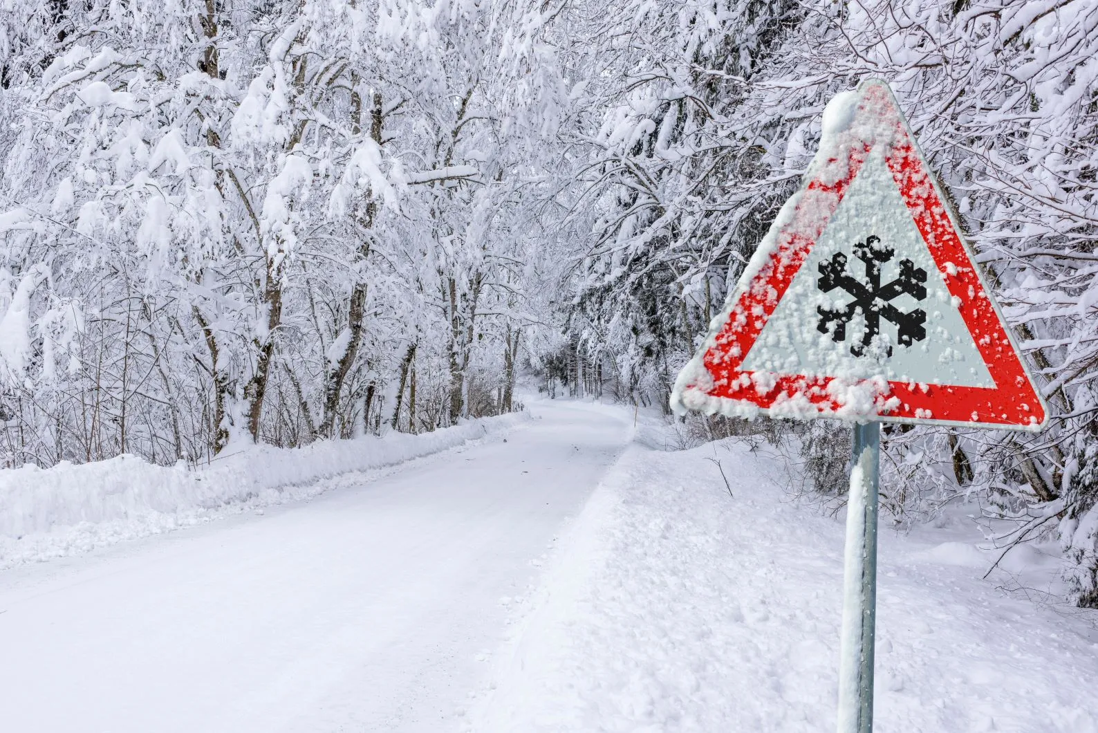 道路標識に雪: この交通ルールを知っている人はほとんどいません ❄️⛔