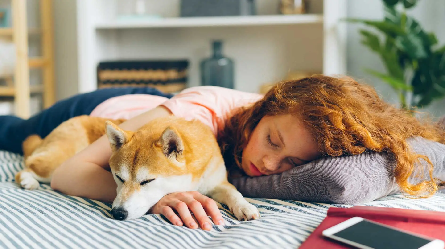 青少年を寝かせてください！だからこそ、睡眠は健康にとって重要であり、怠惰の兆候ではありません。